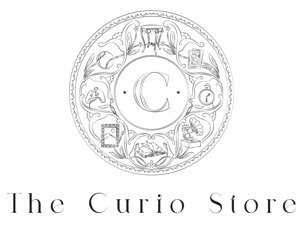 The Curio Store | Website Development Company in Rajkot | Seawind Systems