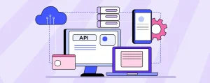 Integrating Third-Party APIs into WordPress | Website Development Company in Rajkot | Seawind Systems